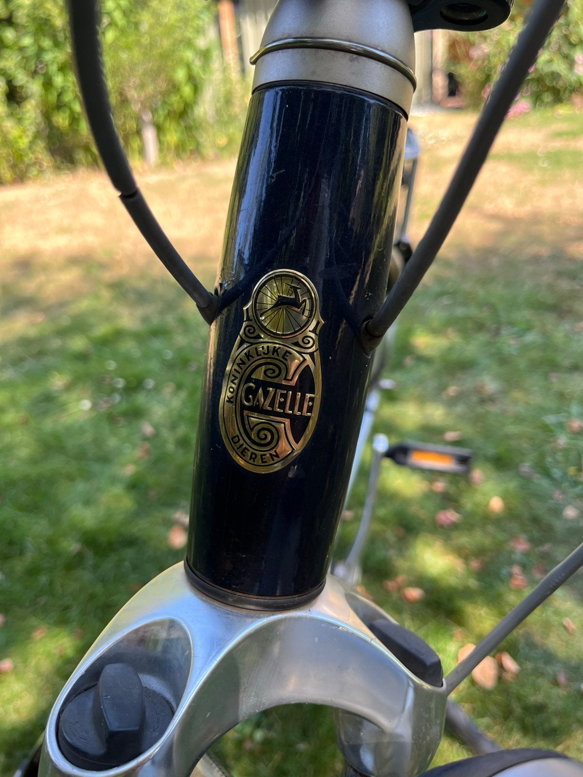 Nette Gazelle Chamonix Goldline - 57 cm, Ophalen, Gebruikt, Versnellingen, 56 cm of meer