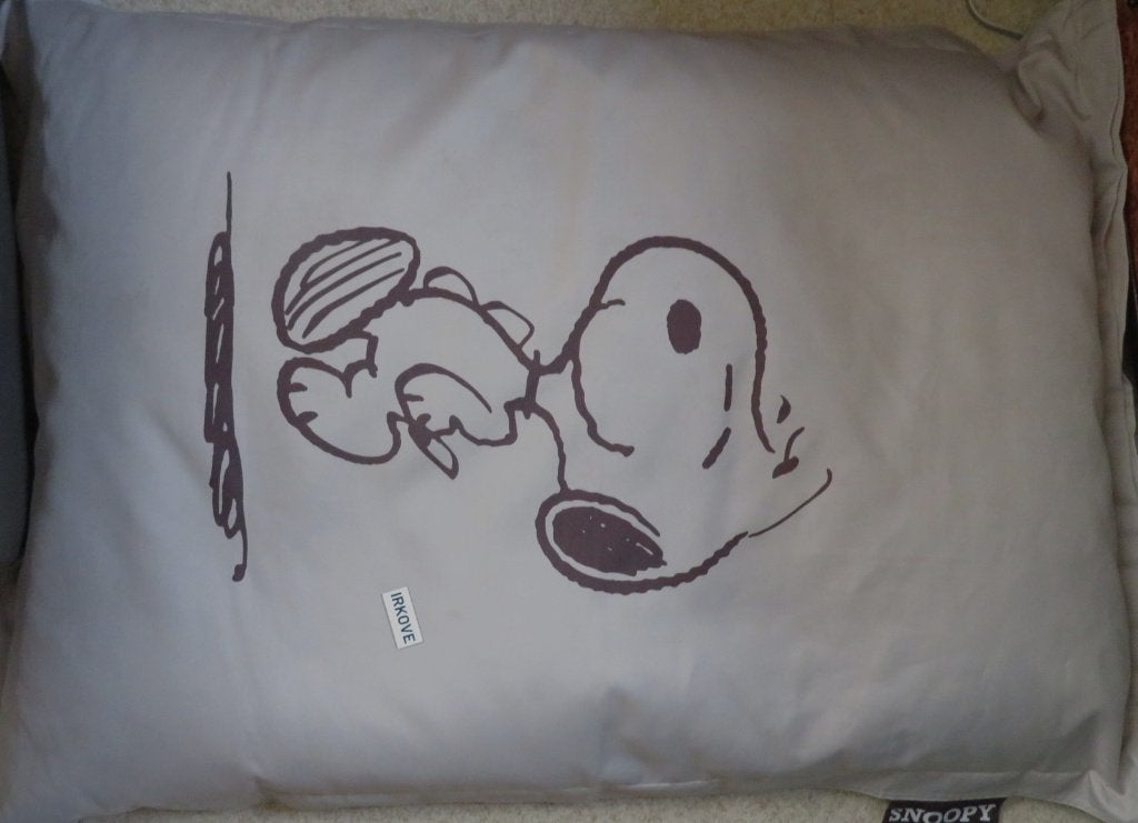 GROOT HONDEN KUSSEN * NIEUW * Snoopy *, Ophalen of Verzenden, Nieuw, Katoen