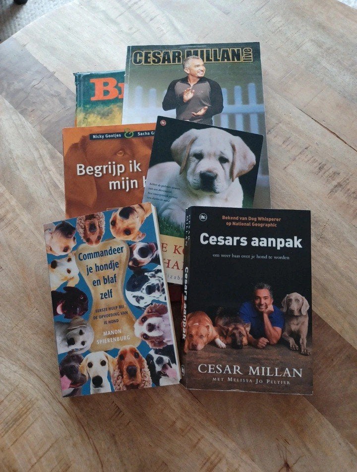 XXL Hondenboekenpakket: Cesar Millan, Rien Poortvliet e.a., Ophalen of Verzenden, Gelezen, Honden, Cesar Millan