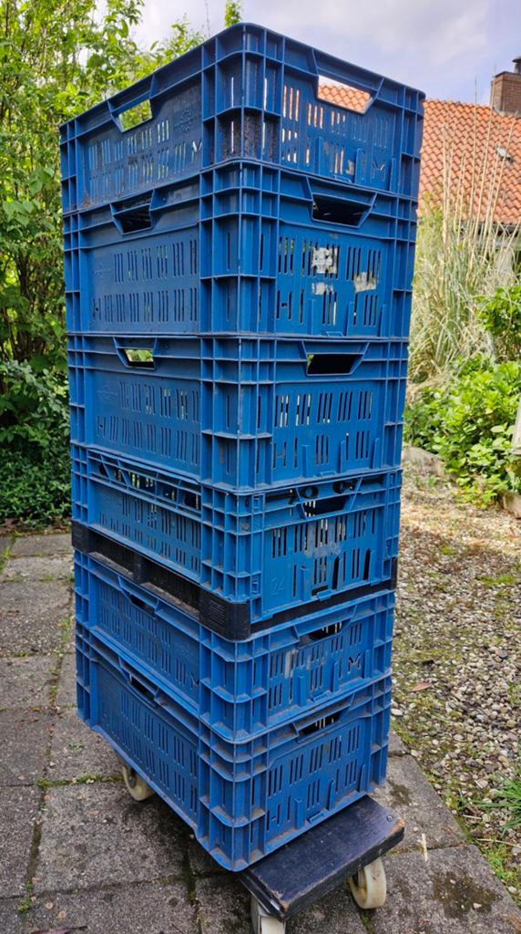 Stapel kratten, Doe-het-zelf en Verbouw, 40 tot 60 cm, 50 tot 75 cm, Minder dan 35 cm, Ophalen of Verzenden