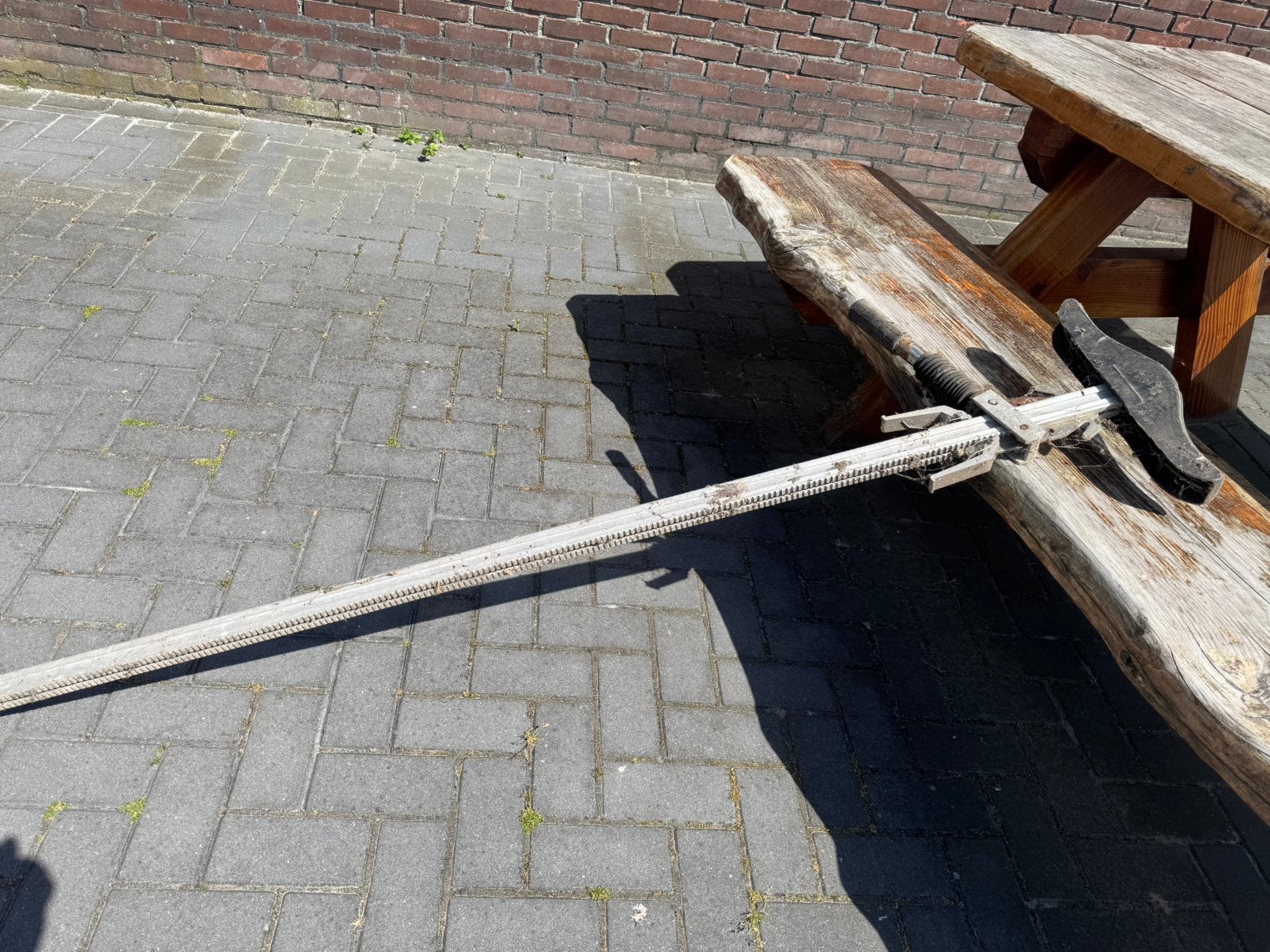 Geboortekrik/ verloskrik vee, Dieren en Toebehoren, Schaap