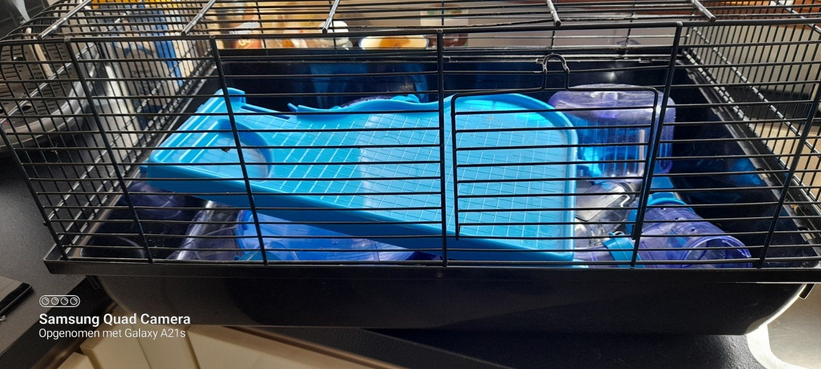 kooi voor dwerghamster(s), Ophalen of Verzenden, Zo goed als nieuw, Loopwiel of Rad