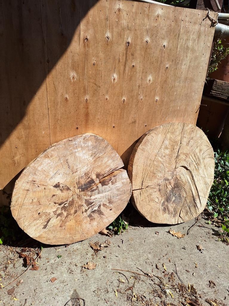 Houten schijven voor decoratie of brandhout, Tuin en Terras, Haardhout, Minder dan 3 m³, Ophalen of Verzenden, Overige houtsoorten