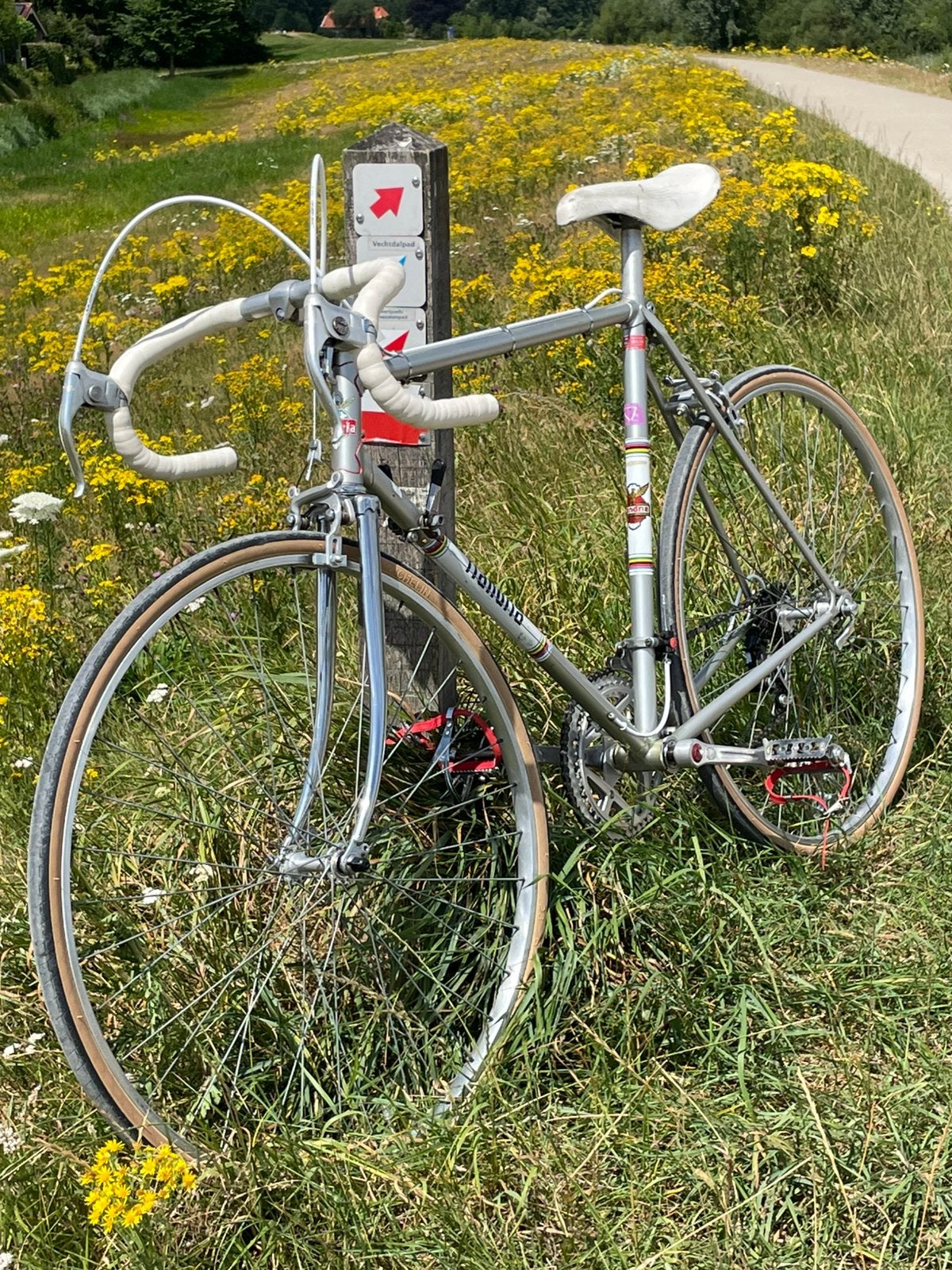 Flandria race fiets (gereviseerd), 55 tot 59 cm, Ophalen