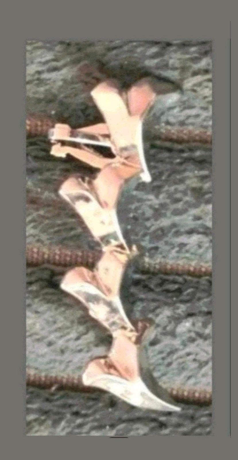 Oorstud haaientanden, Verzenden, Nieuw, Zilver