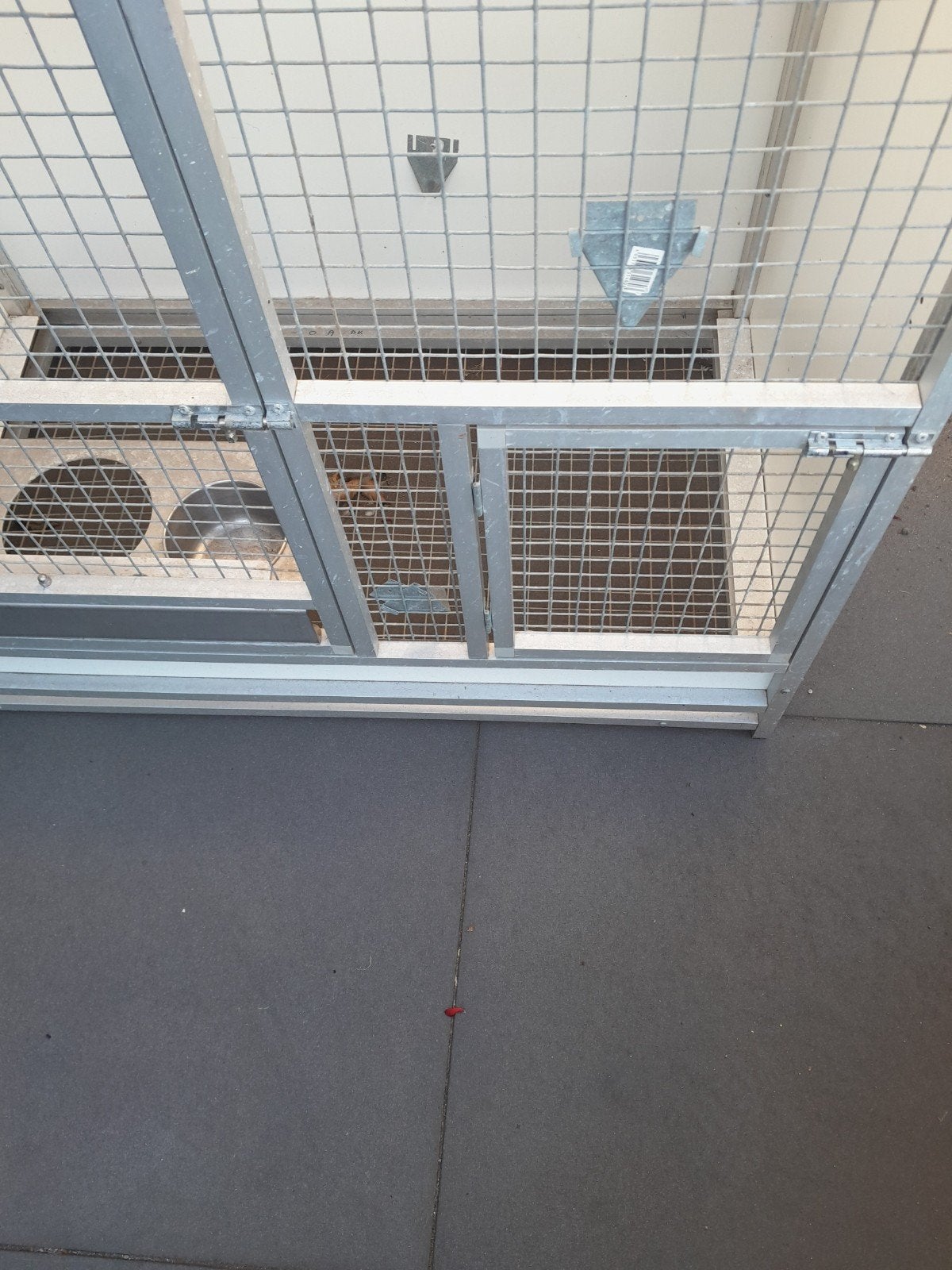 parkieten kooi, Ophalen of Verzenden, Aluminium, Broedkooi of Kweekkooi