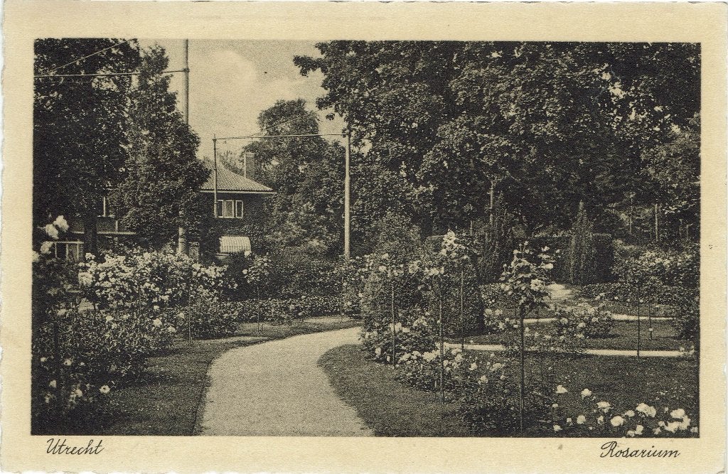 Utrecht – Rosarium. Gelopen Mijdrecht 1937., Verzamelen, Ophalen of Verzenden, 1920 tot 1940, Gelopen, Utrecht