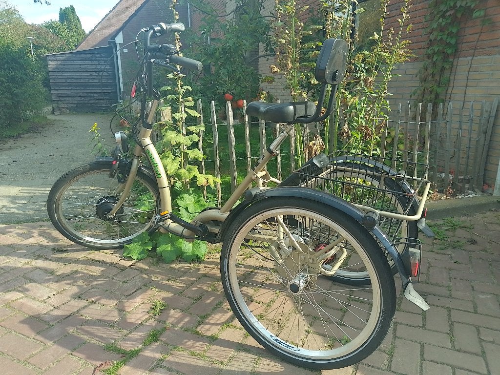 elektrische driewieler, Ophalen, Gebruikt, Velgrem, Pfau-tec