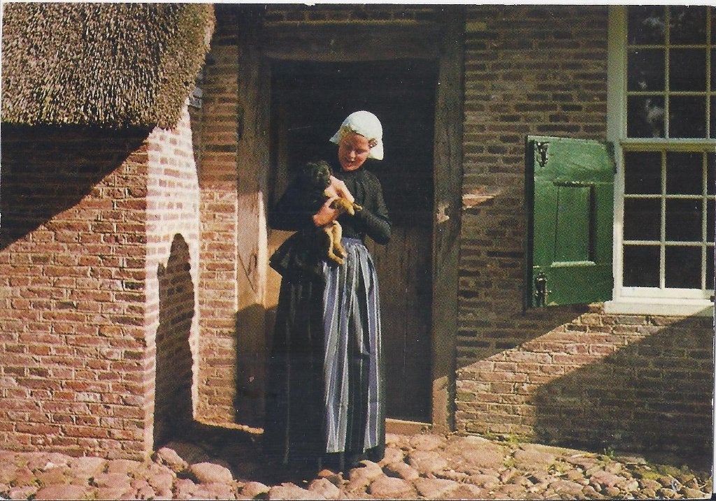 Zweeloo 't Hoes van Hol An - Ongelopen Ansichtkaart A10, Ophalen of Verzenden, 1980 tot heden, Ongelopen, Drenthe