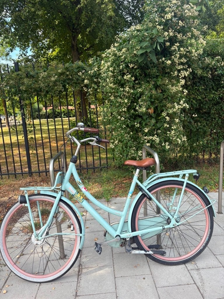 Damesfiets, Fietsen en Brommers, Fietsen | Dames | Damesfietsen, Terugtraprem, Gebruikt, 47 tot 50 cm, Versnellingen