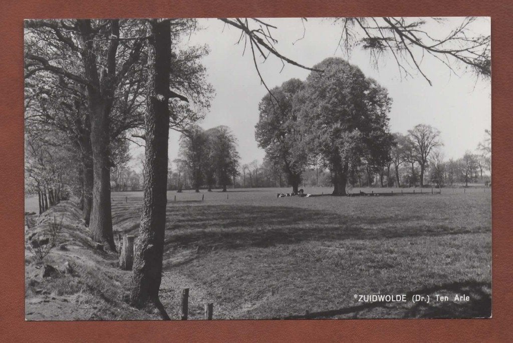 Zuidwolde (Dr.) - Ten Arle - 1974 - Ong., Ophalen of Verzenden, 1960 tot 1980, Ongelopen, Drenthe