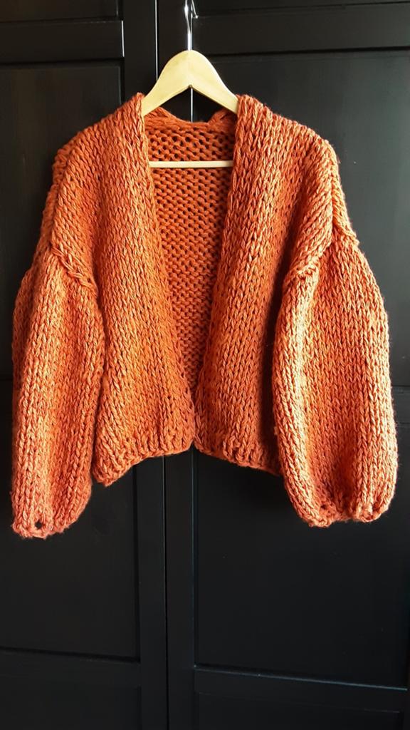 Handgebreid vest, Ophalen of Verzenden, Nieuw
