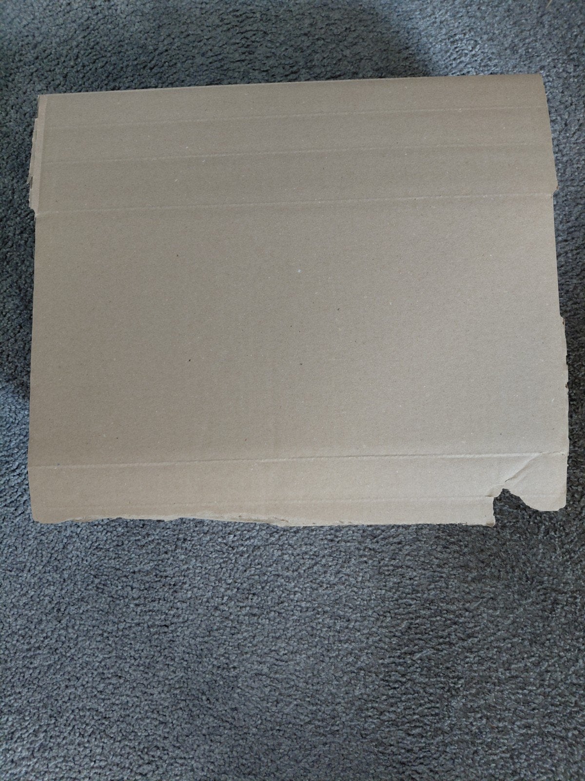 Mystery Box Voetbaltenue Maat 134/140 France tenue, Mbappe, Kinderen en Baby's, Kinderkleding | Maat 134, Gebruikt, Jongen of Meisje