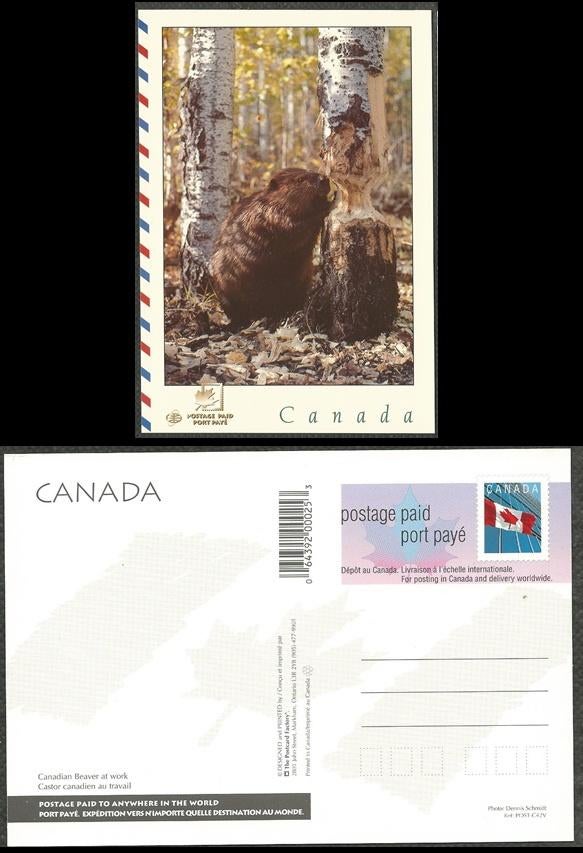 CANADA 1997 Canadian Beaver at Work Postcard, MINT., Verzenden, Postfris, Dier of Natuur
