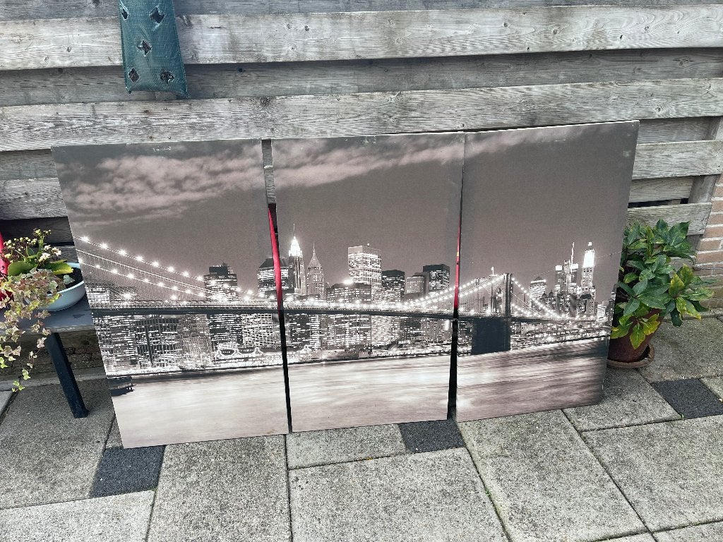 Canvas schilderij, Huis en Inrichting, Ophalen, Gebruikt, 125 cm of meer, Schilderij