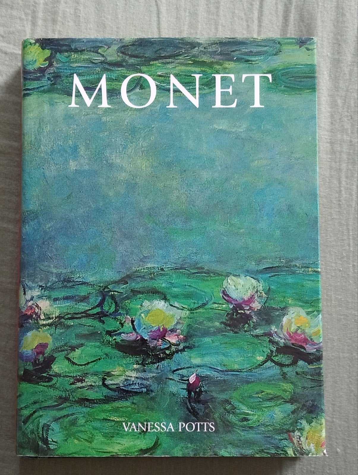 Monet door Vanessa Potts - Kunstboek, Boeken, Ophalen of Verzenden, Gelezen, Schilder- en Tekenkunst, Vanessa Potts
