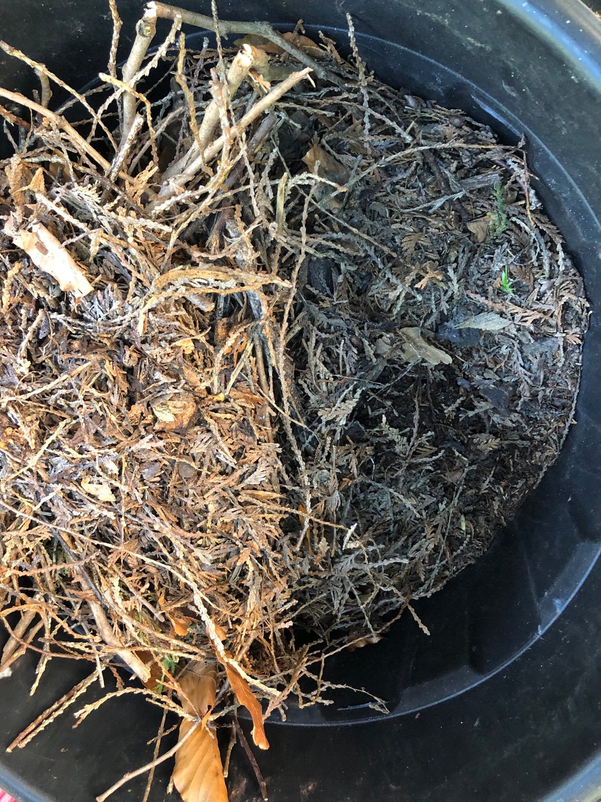 Grote bakken met compost voor uw tuin, Ophalen, Overige typen