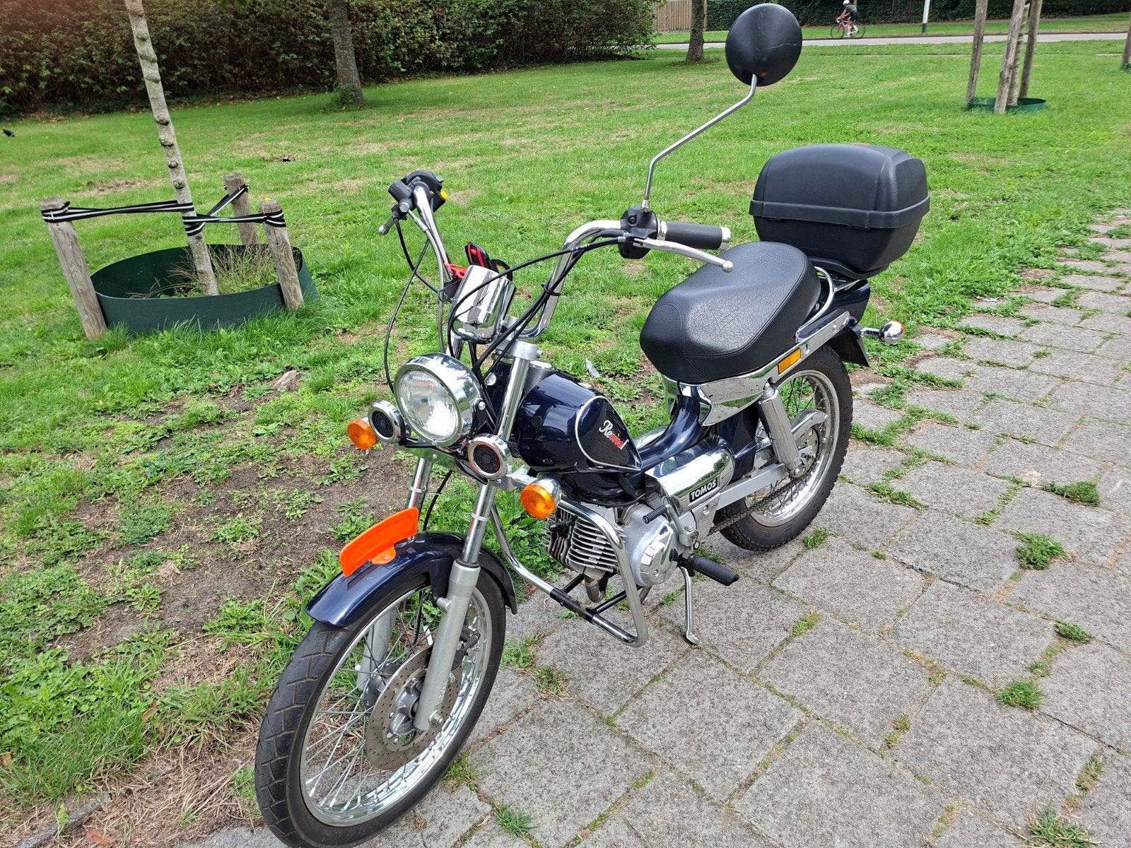 tomos revival, Ophalen, Overige typen, Tomos