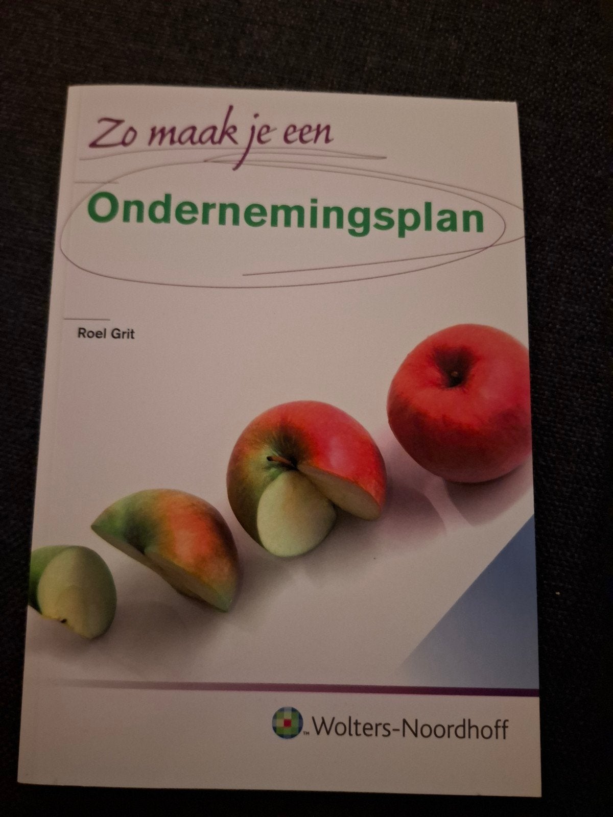 R. Grit - Zo maak je een ondernemingsplan, R. Grit, Ophalen of Verzenden, Zo goed als nieuw, Nederlands