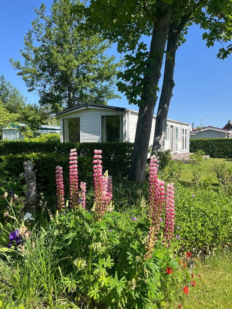 Te koop: Mooi chalet op kleine camping bij Grevelingenmeer, Caravans en Kamperen, Tot en met 4