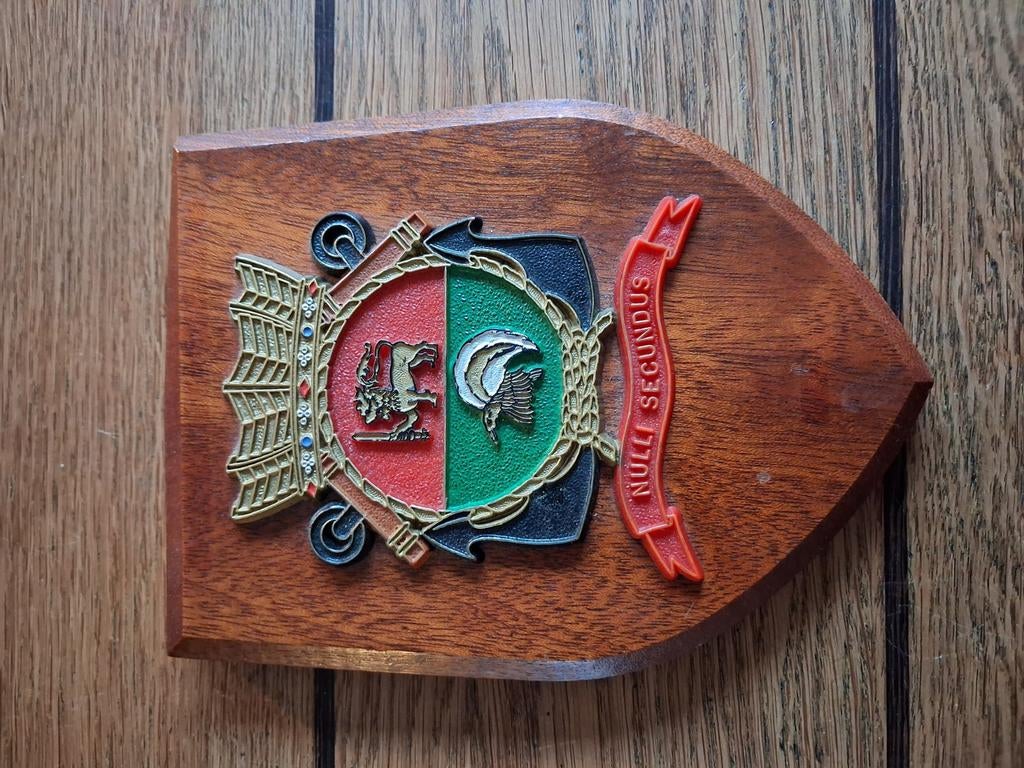 Wapenschild shield schild Vliegtuigsquadron 321 valkenburg, Ophalen of Verzenden, Landmacht, Nederland