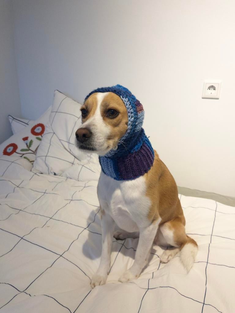 100% handgemaakte gehaakte balaclava voor huisdieren, Ophalen of Verzenden, Nieuw, Overige hondenkleding