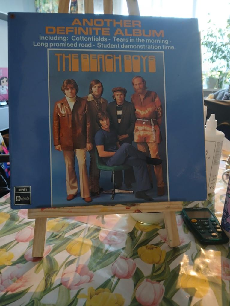 The Beach Boys - Another Definite Album LP Vinyl, Ophalen of Verzenden, 1970 - 1979, Gebruikt, 12 inch