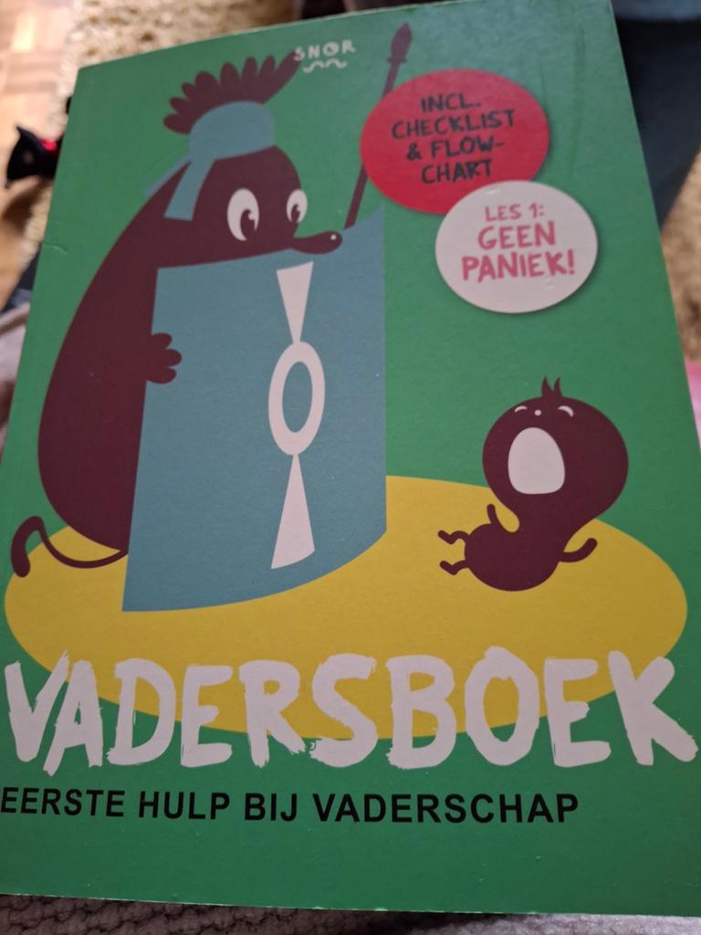 Gerard Janssen - Het vadersboek, Ophalen of Verzenden, Zo goed als nieuw, Gerard Janssen