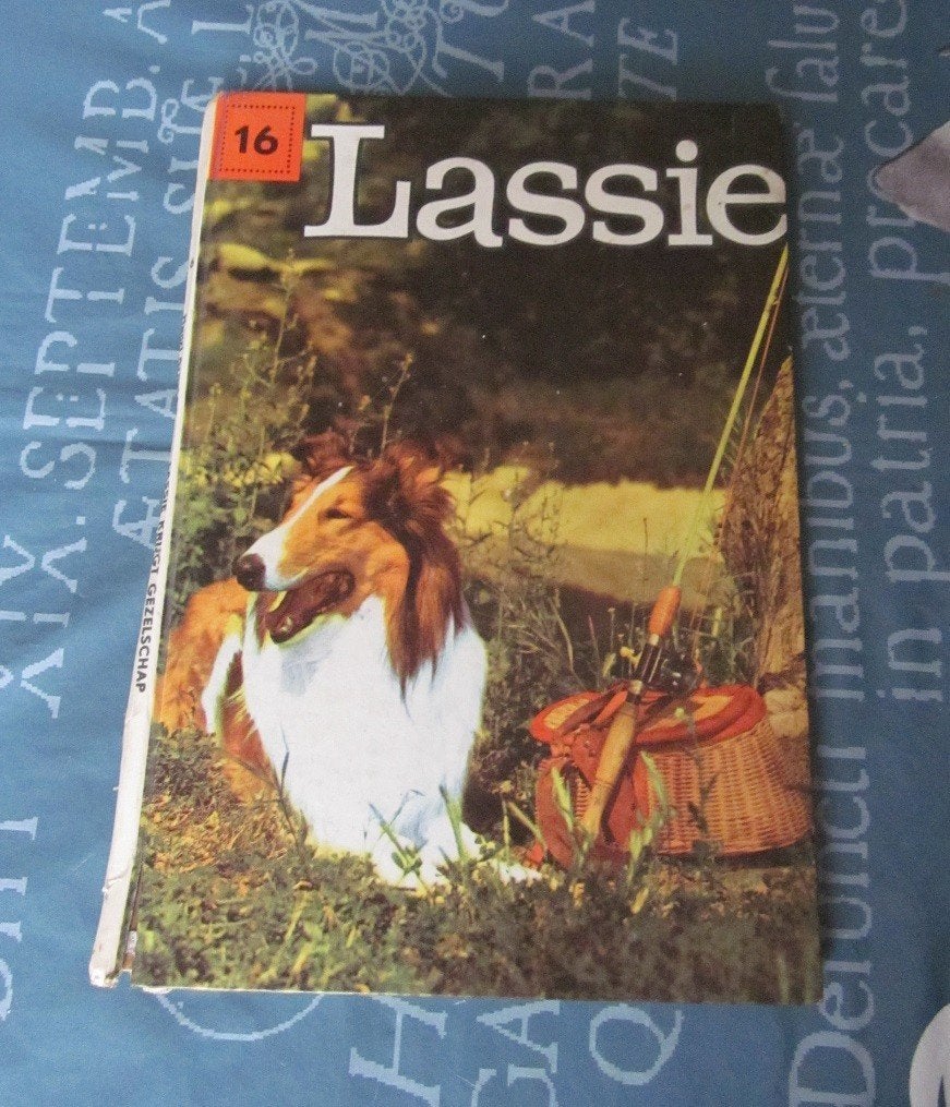 lassie deel 16 nr. de trouwe krijgt gezelschap collie hond +, Ophalen of Verzenden, Gelezen, Henri Arnoldus, Fictie