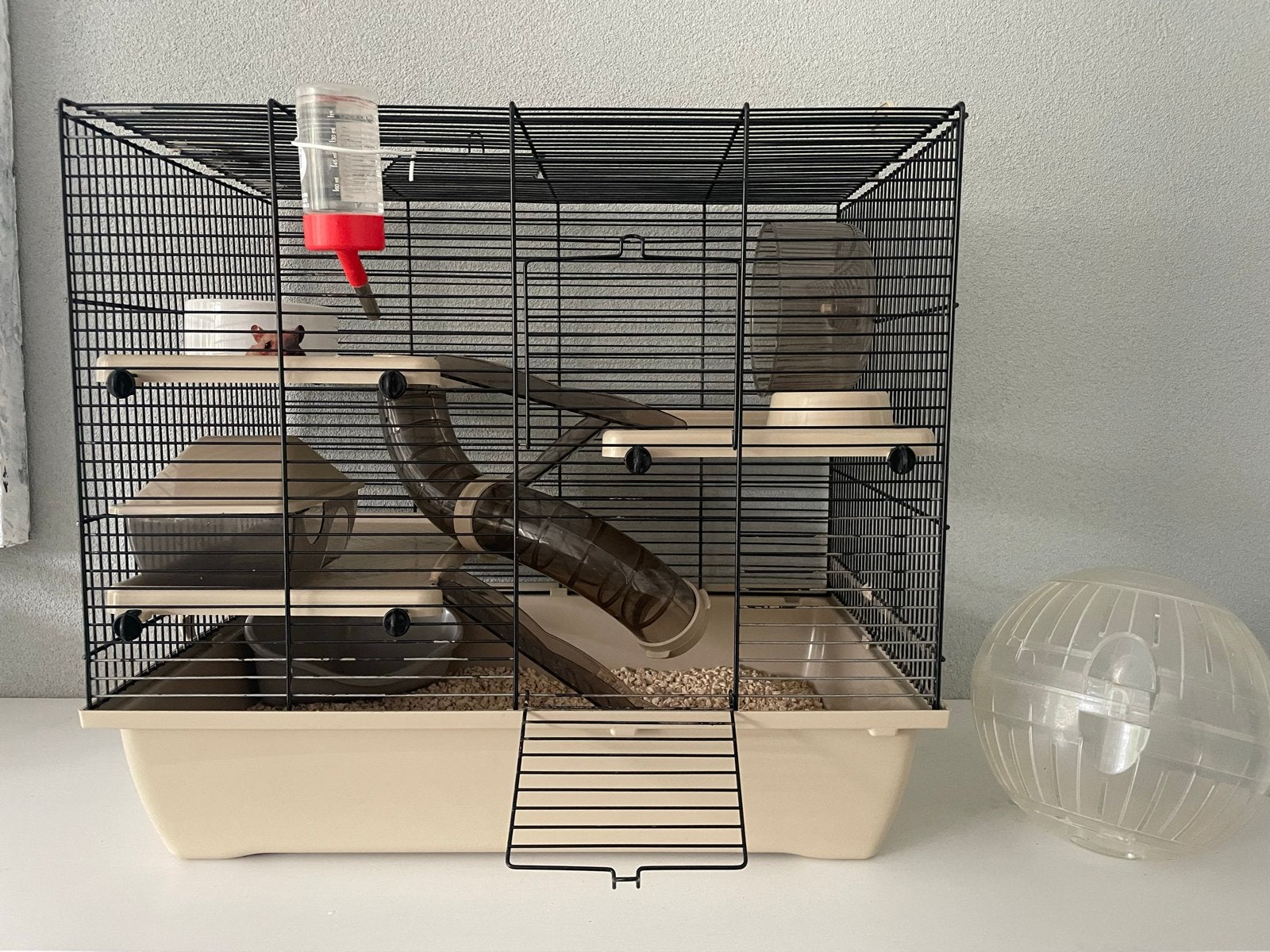 GRATIS hamsterkooi met hamsterbal, Ophalen, Gebruikt, Overige typen