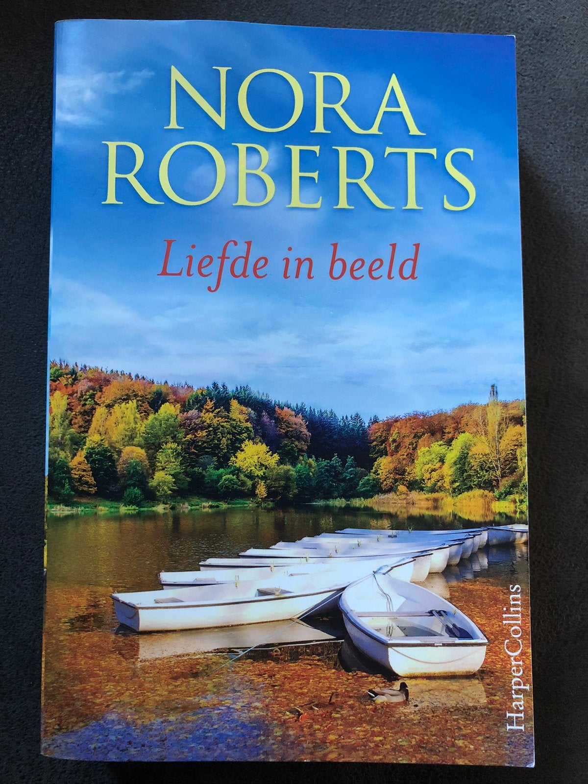Nora Roberts - Liefde in beeld, Ophalen of Verzenden, Gelezen