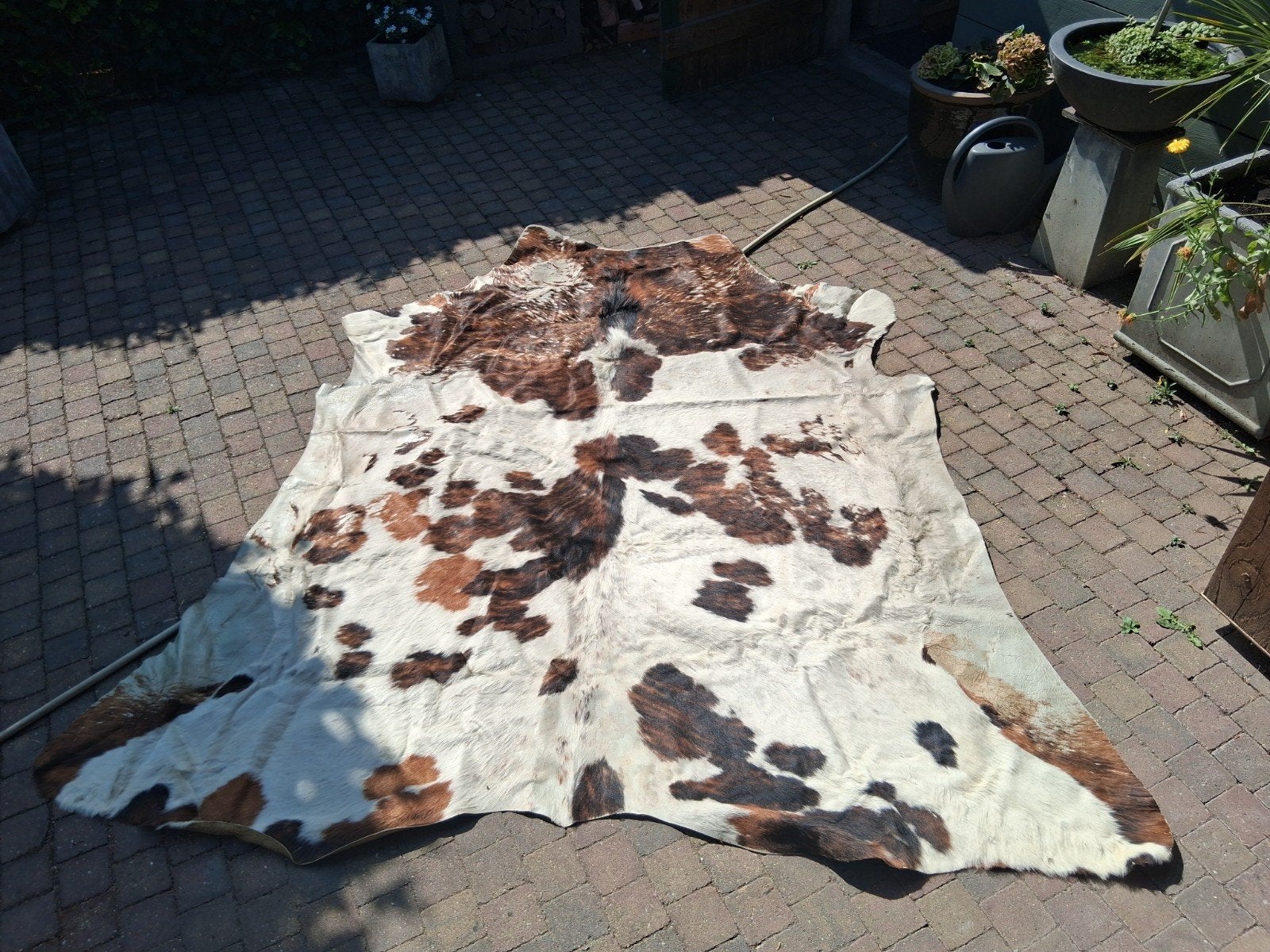 koeienhuid, Ophalen of Verzenden, Gebruikt, Rechthoekig, 200 cm of meer