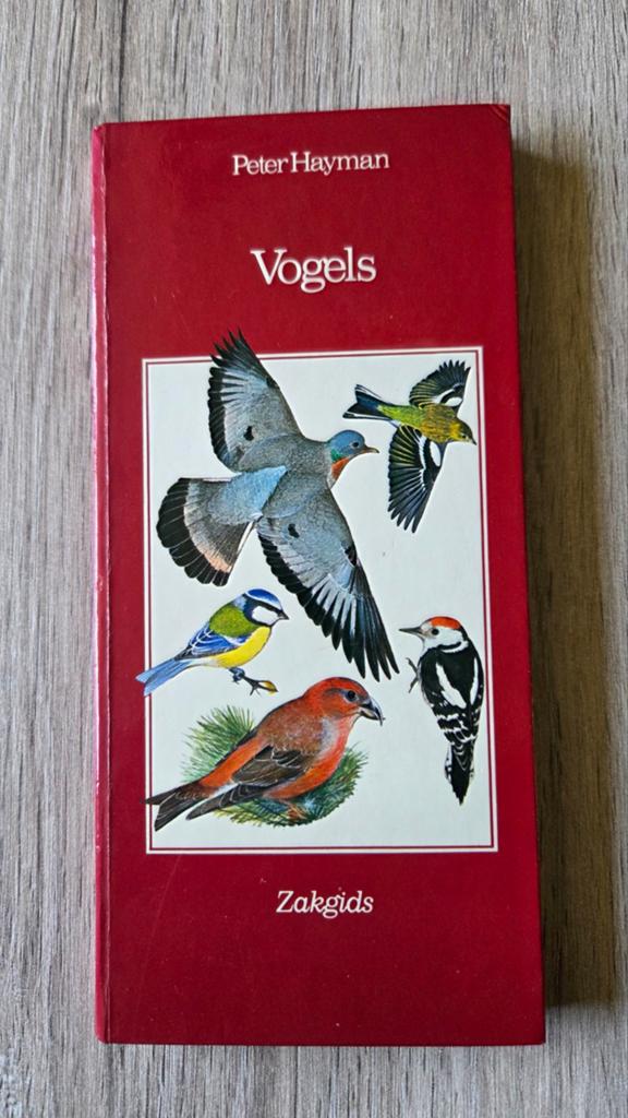 Vogels Zakgids - Peter Hayman - Zomer & Keuning, Boeken, Ophalen of Verzenden, Gelezen, Vogels, Peter Hayman