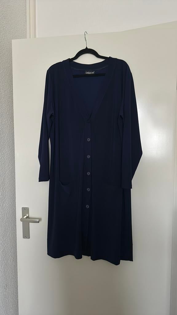 Prachtig dolce vest Carleoni 46/48/50, Ophalen of Verzenden, Zo goed als nieuw, Blauw, Trui of Vest