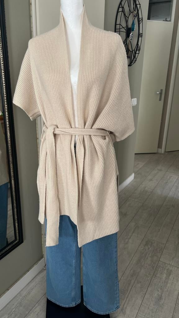 Nieuwe Broadway Cardigan Maat L, Kleding | Dames, Verzenden, Nieuw, Maat 42/44 (L), Beige
