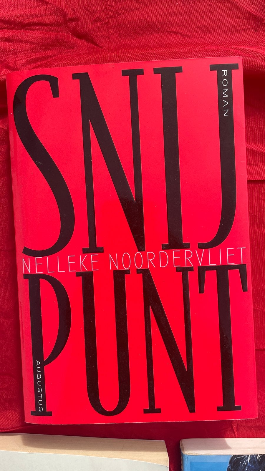 Snijpunt - Nelleke Noordervliet (Roman), Ophalen of Verzenden, Gelezen, Nederland