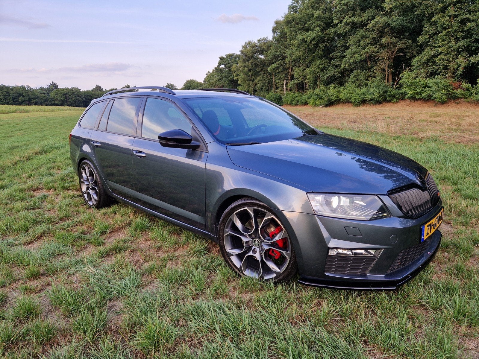 Skoda Octavia VRS 2.0 TDI 184pk DSG 2017 Grijs, Auto's, 1800 kg, 4 cilinders, Leder, Stationwagon