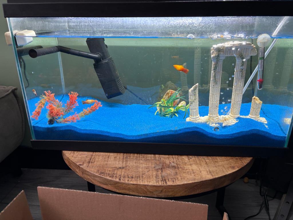 Tetra aquarium compleet, Dieren en Toebehoren, Ophalen, Zo goed als nieuw, Gevuld zoetwateraquarium