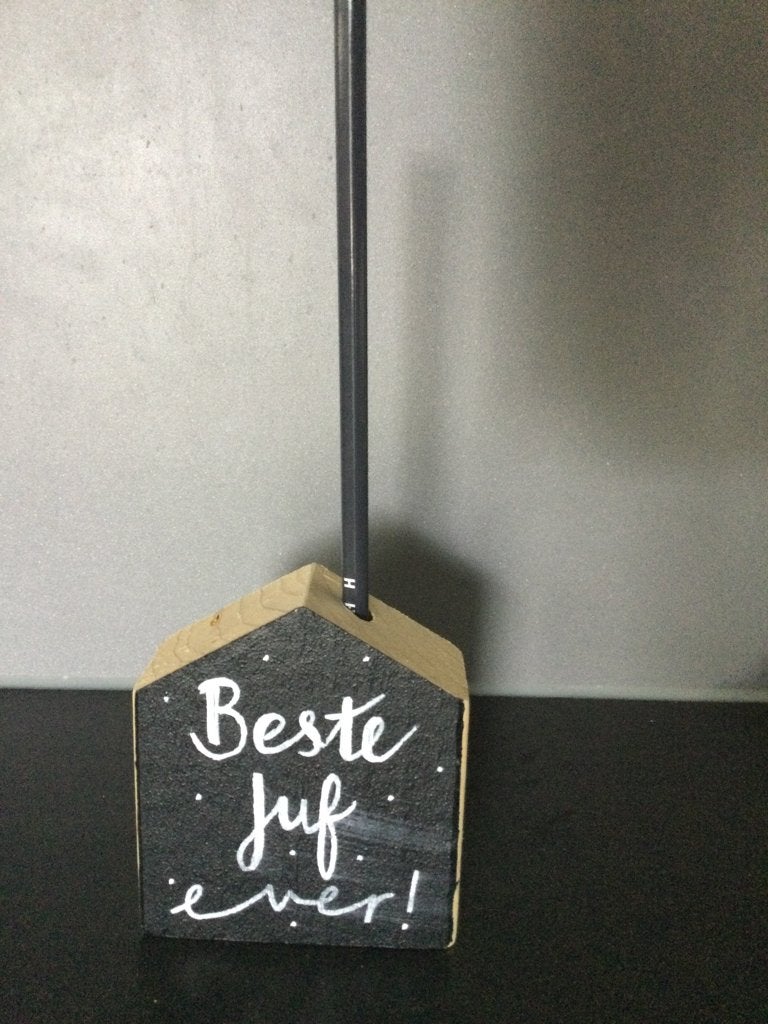 Leuk afscheidscadeau juf, laatste schooldag/ afscheid, Ophalen of Verzenden, Nieuw, Overige typen, Overige