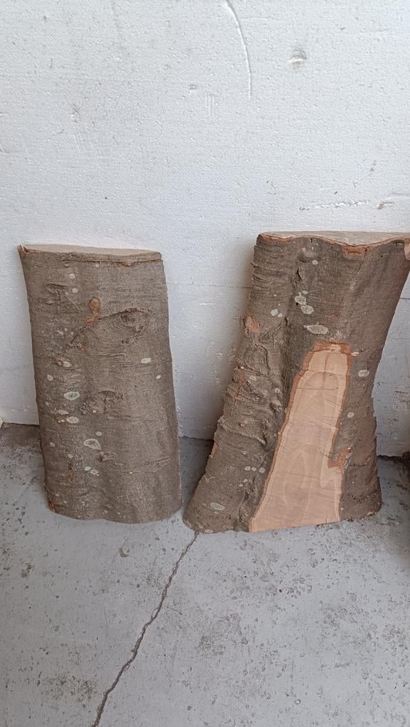 Schaaldelen boomstam planken, Doe-het-zelf en Verbouw, Hout en Planken, Ophalen, Minder dan 25 mm, Nieuw, Plank