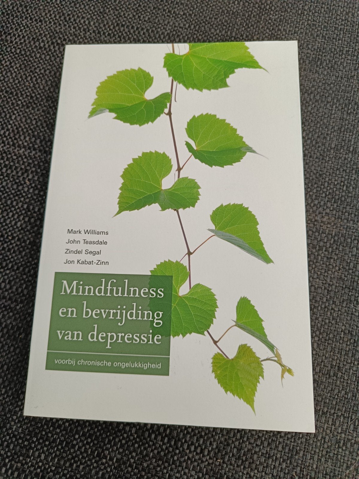 Mindfulness en bevrijding van depressie, Boeken, Ophalen of Verzenden, Zo goed als nieuw, Persoonlijkheidsleer