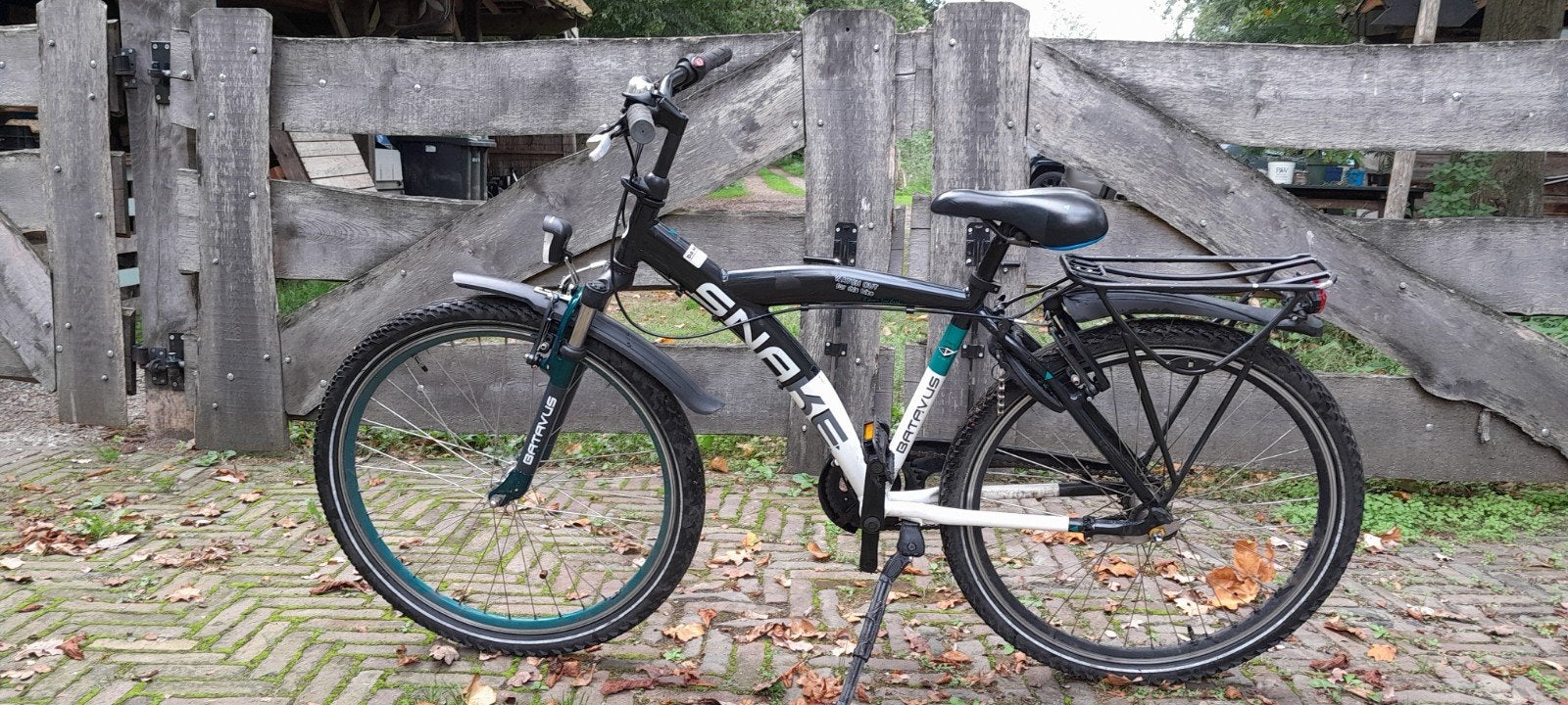 Batavus Snake