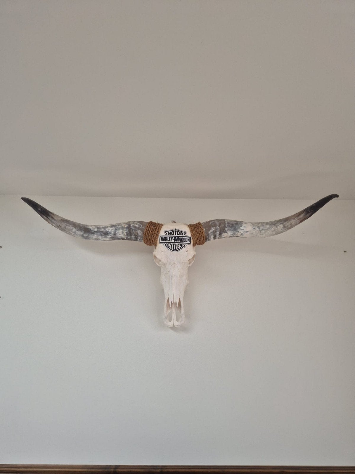 Harley-Davidson schedel met hoorns, Ophalen, Vintage, Gebruikt, Natuurlijk materiaal