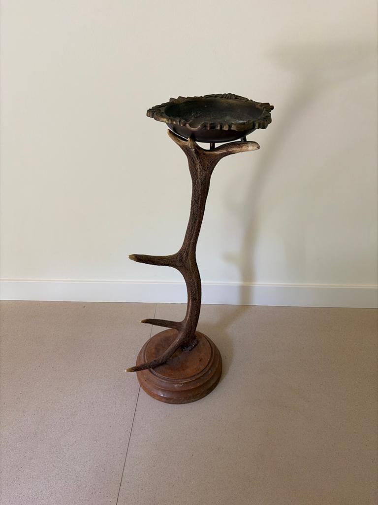 Gewei decoratie/planten standaard, Ophalen, Minder dan 55 cm, Gebruikt, Overige vormen