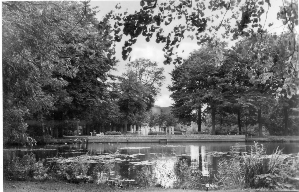 Schoonhoven  Eendenvoederplaats, Ophalen of Verzenden, 1960 tot 1980, Ongelopen, Zuid-Holland