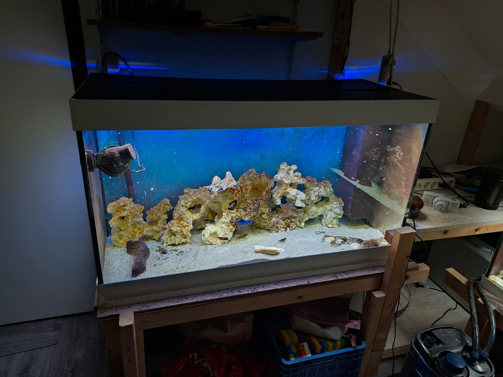juwel rio 240 en rio 260 visioen en oase biomaster 350 therm, Dieren en Toebehoren, Ophalen, Inclusief deksel, Zo goed als nieuw