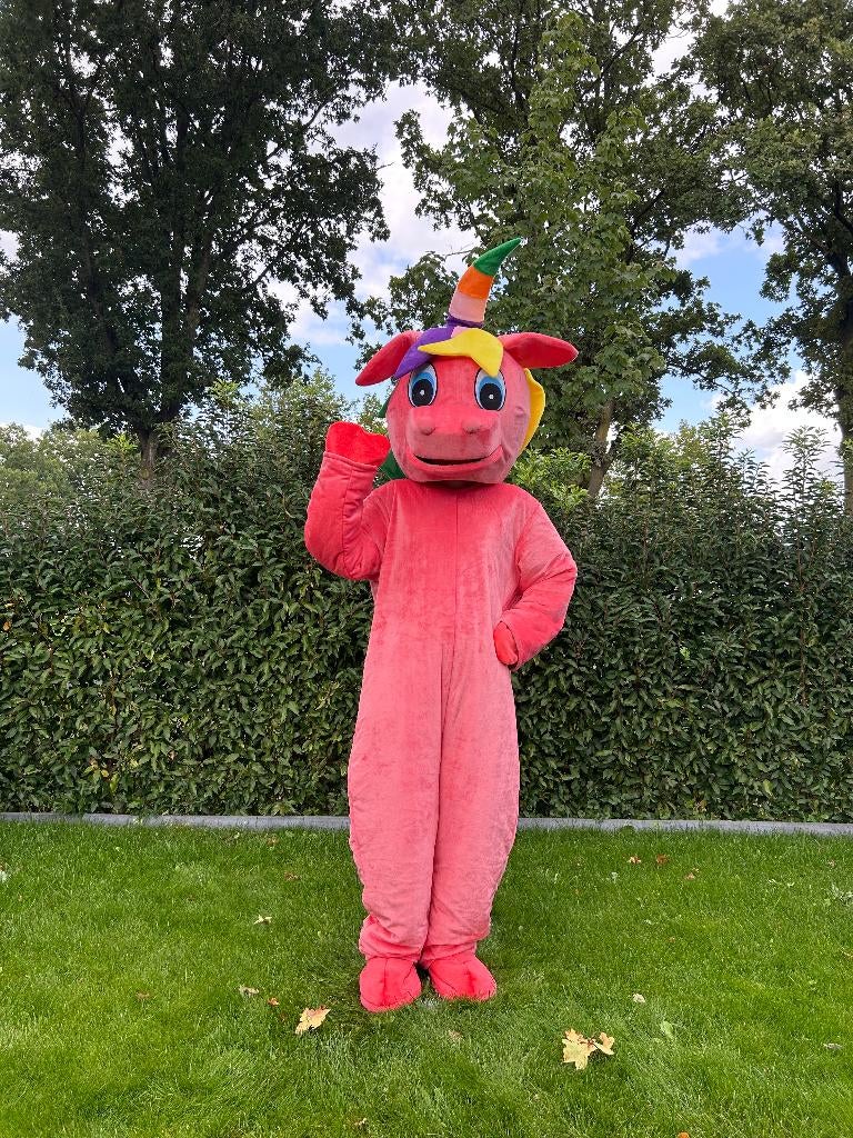 Te Huur: Unicorn-Kostuum, Verjaardag, Carnaval, Eenhoorn, Ophalen of Verzenden, Zo goed als nieuw, Verjaardag