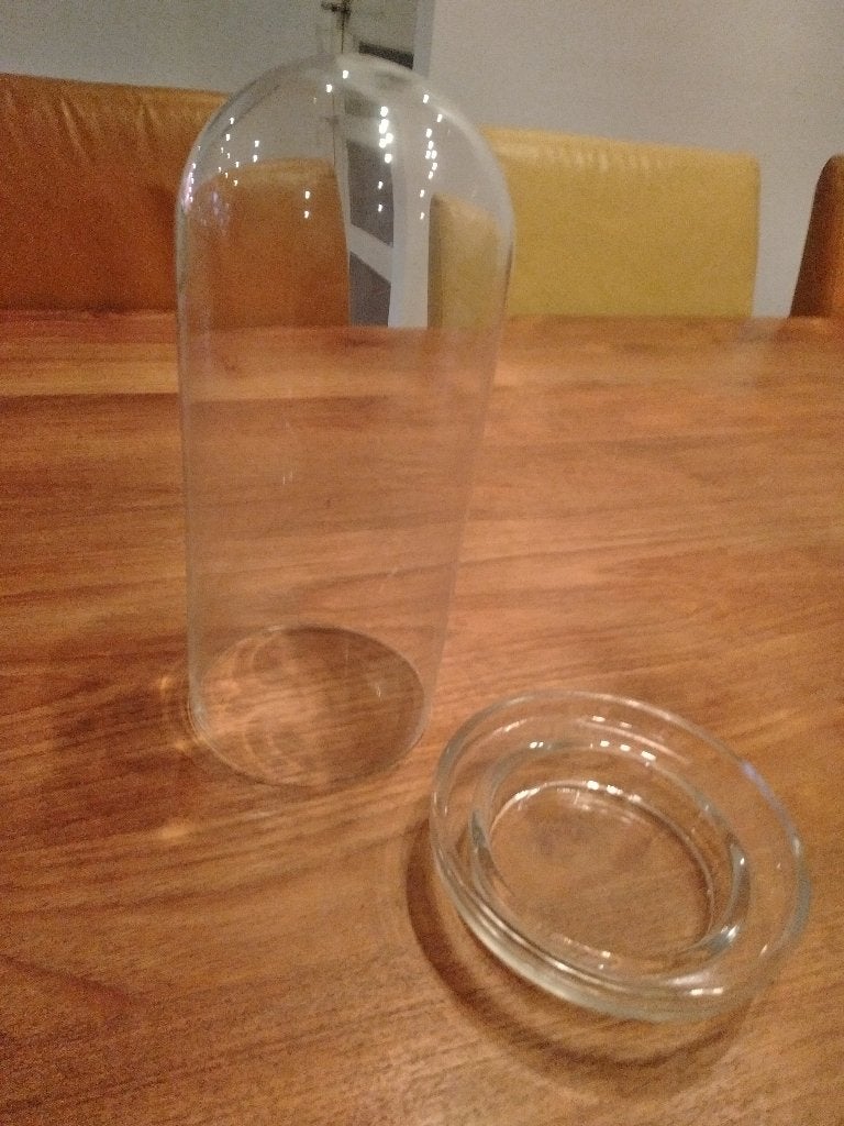 Glazen stolp, Huis en Inrichting, Woonaccessoires | Stolpen, 11 cm, Nieuw, Ophalen of Verzenden, Met plateau