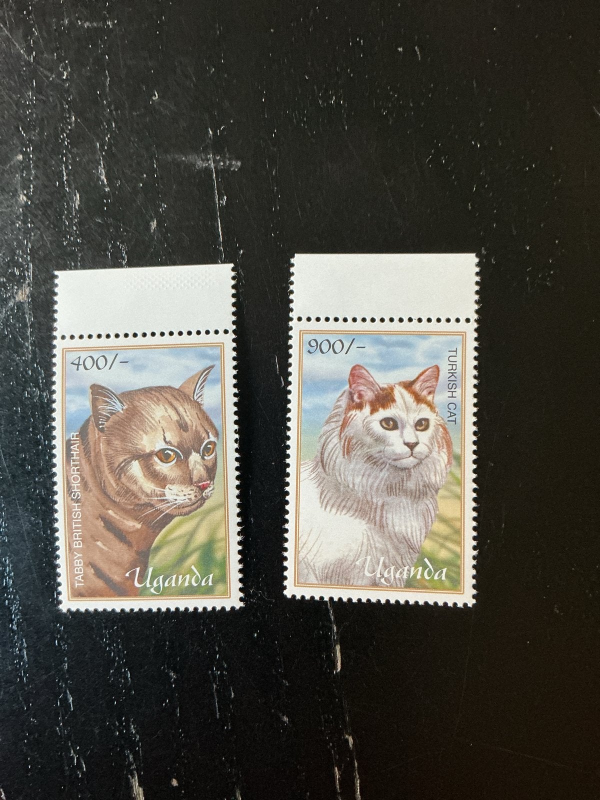 Uganda Katten Postzegels: Tabby British Shorthair & Turkse K, Verzenden, Postfris
