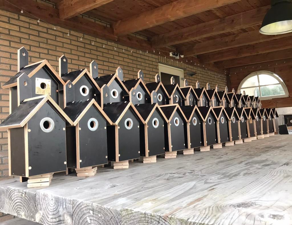 Vogelhuisje deluxe (mogelijkheid met camera), Ophalen of Verzenden, Nieuw